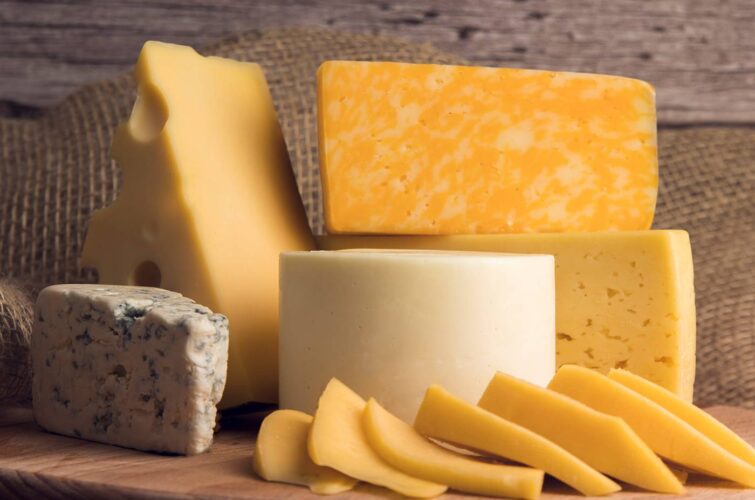 gallery 01 Cheese