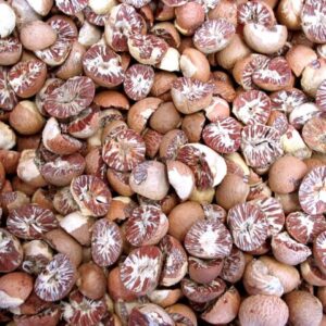 Split Betel Nuts