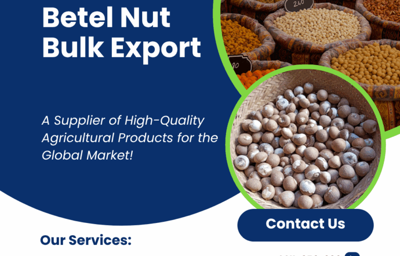 Betel Nut Bulk Export