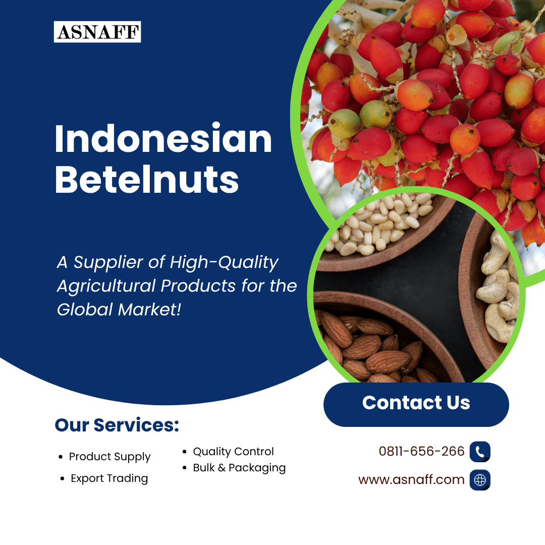 Full Ver asnbaff.com 4 Indonesian Betelnuts for Global Supply and Distribution